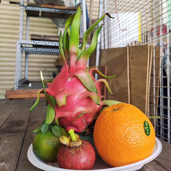 Mâm ngũ quả số 45